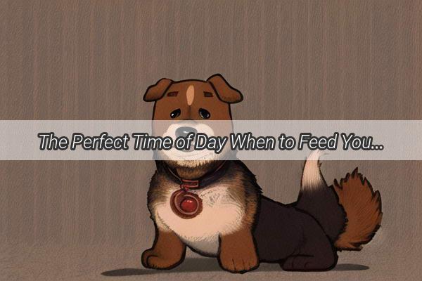 The Perfect Time of Day When to Feed Your Dog for Optimal Health and Happiness